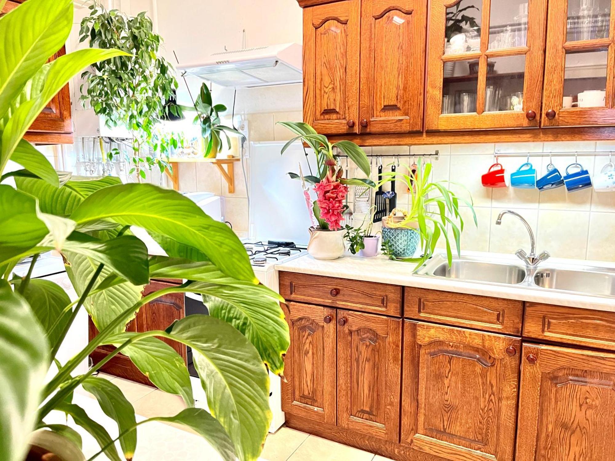 Margaret Bridge Best Spot Apartment Budapest Esterno foto